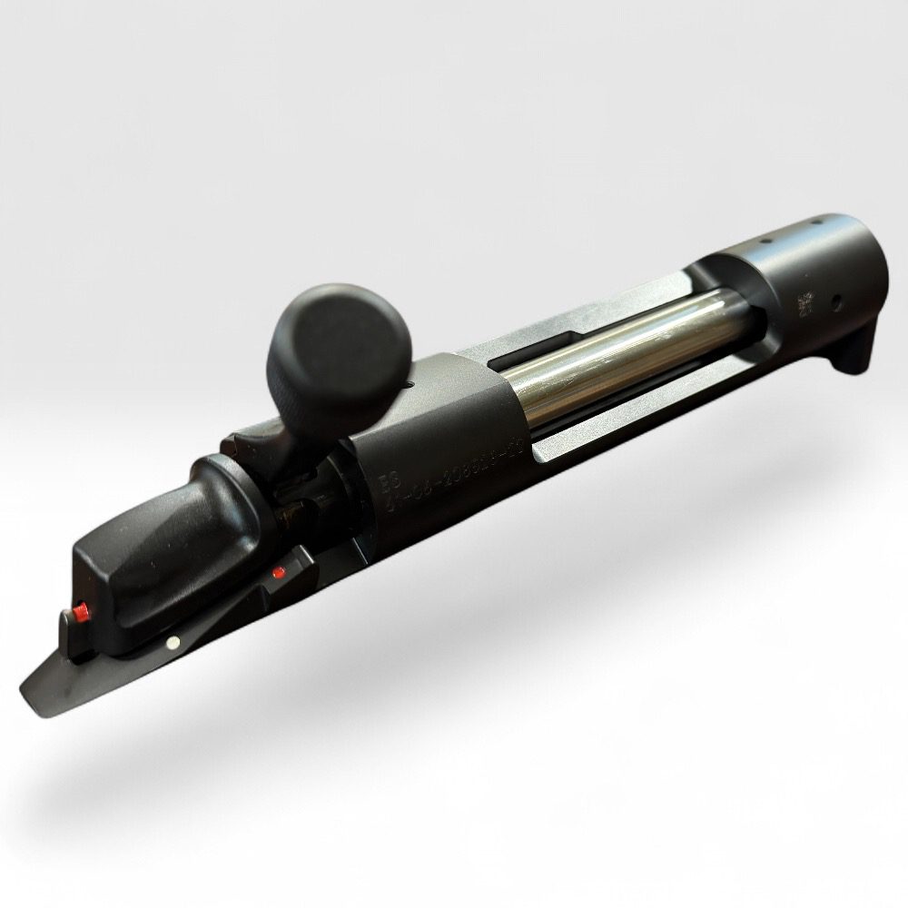 Bergara Action