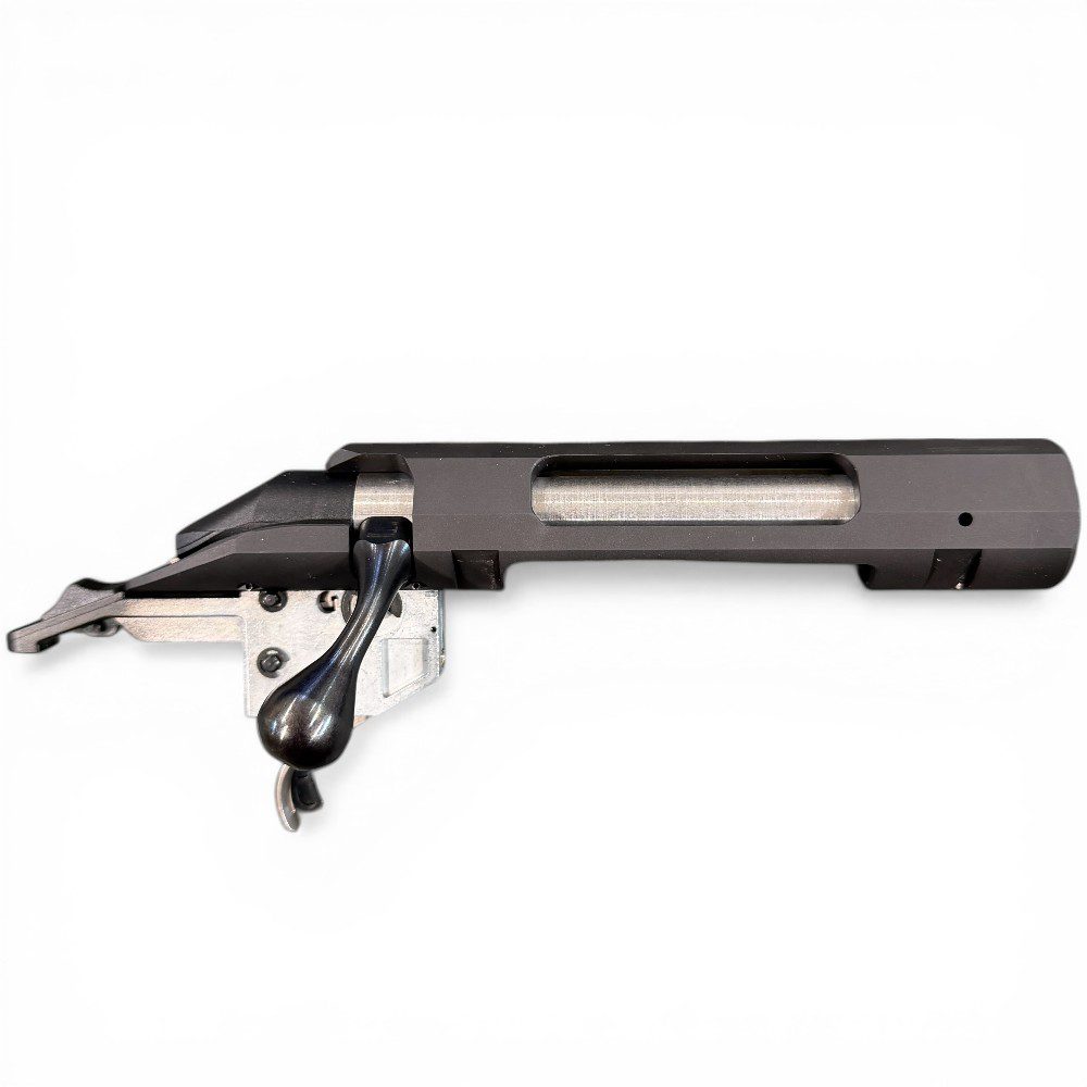 Ruger American Action